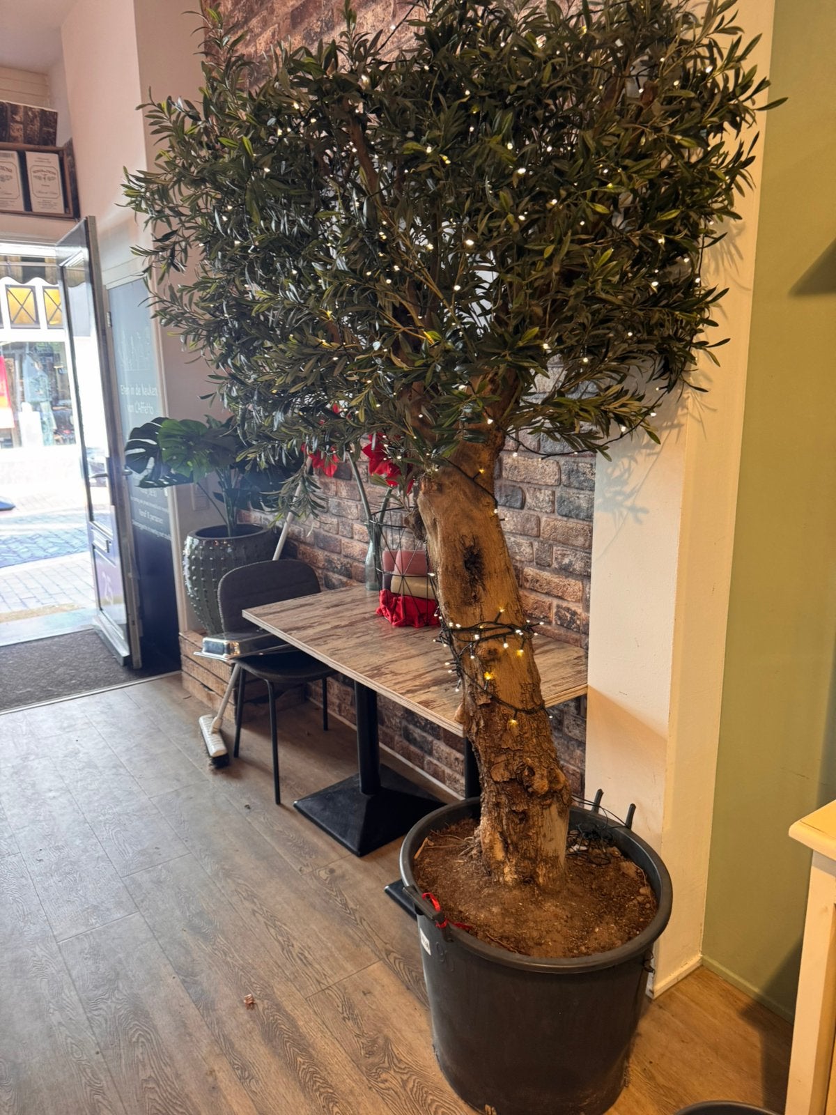 Unieke handgemaakte olijfboom XXL/ huis/ horeca/showroom, Ophalen, Zo goed als nieuw, Groen, Handgemaakt