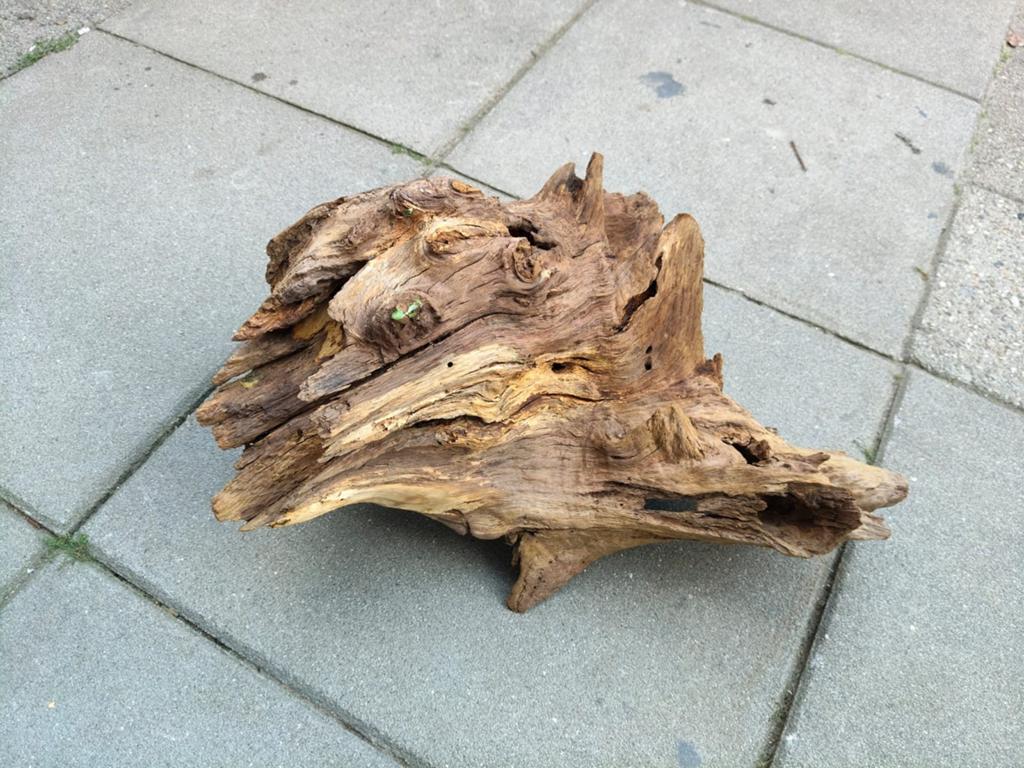 Aquarium hout., Ophalen of Verzenden, Plant(en), Steen of Hout