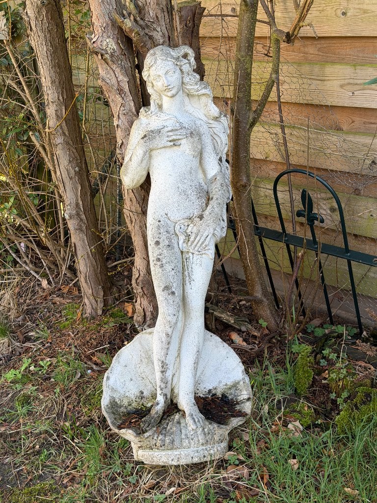 Tuinbeeld Geboorte van Venus – Botticelli, Tuin en Terras, Ophalen, Gebruikt, Beton, Mensenbeeld