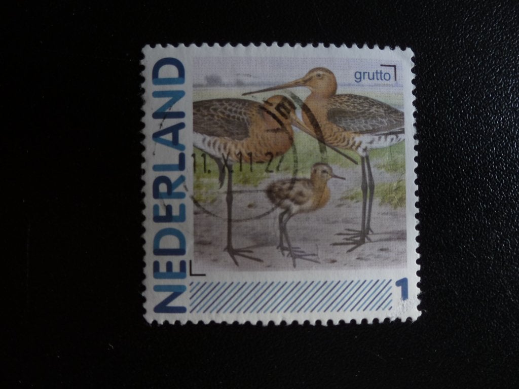 Nederland. 2011. (Grutto), Verzenden, Gestempeld