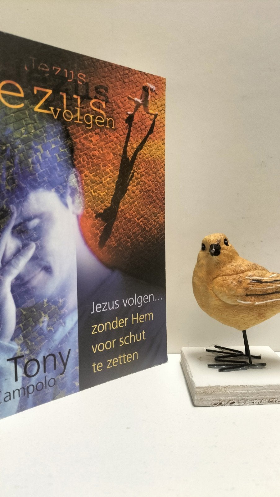 Campolo, Tony; Jezus volgen, Ophalen of Verzenden, Gelezen, Christendom | Protestants