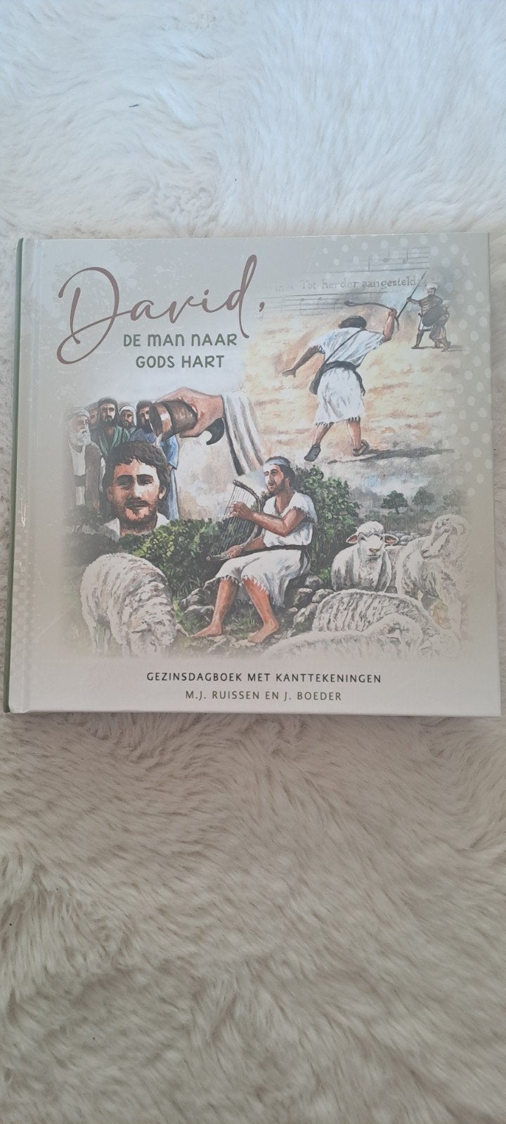 David, de man naar Gods hart - Gezinsdagboek, M.J. Ruissen en J. Boeder, Nieuw, Christendom | Protestants, Ophalen of Verzenden
