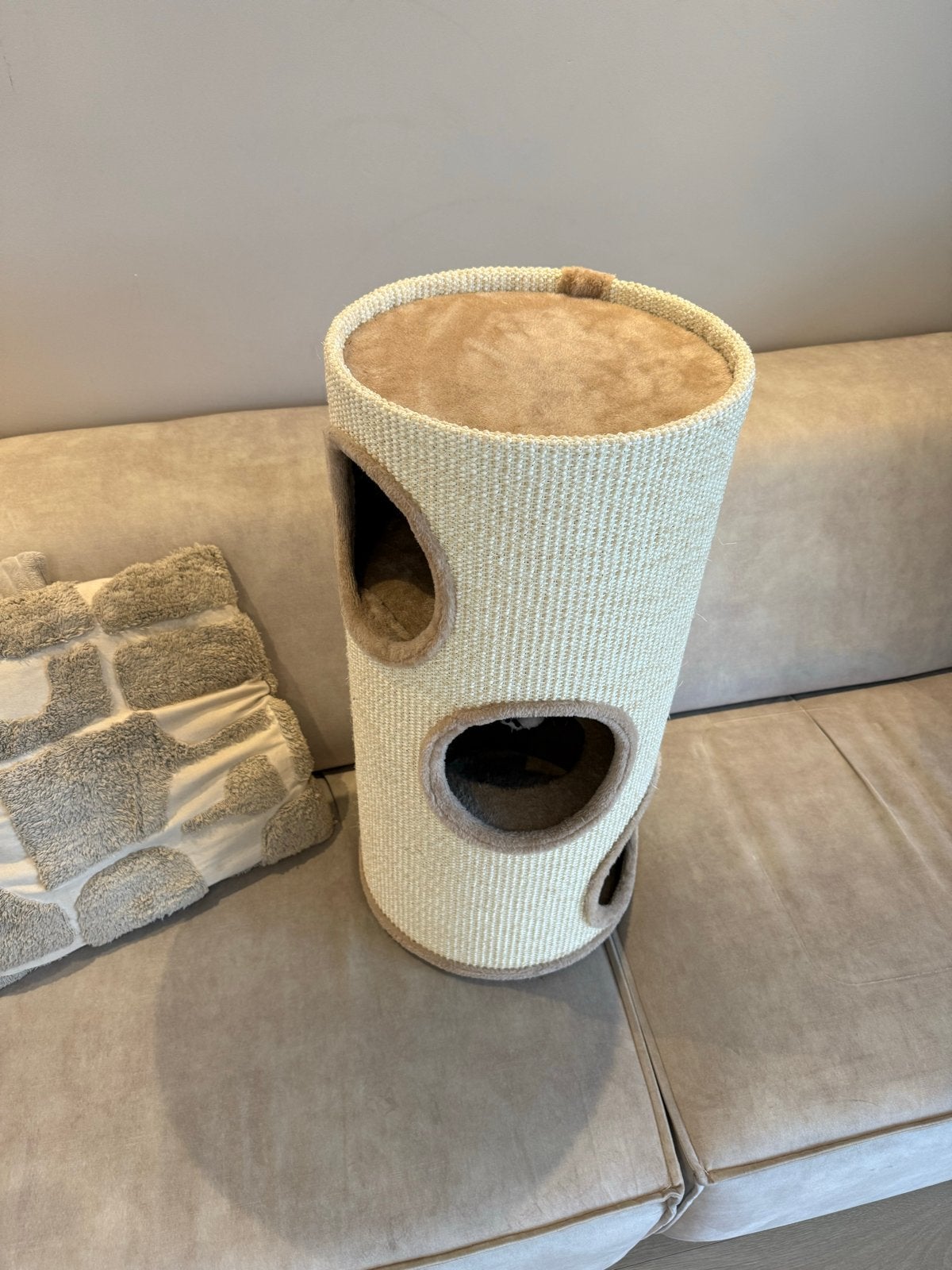 Krabton katten, Dieren en Toebehoren, Ophalen