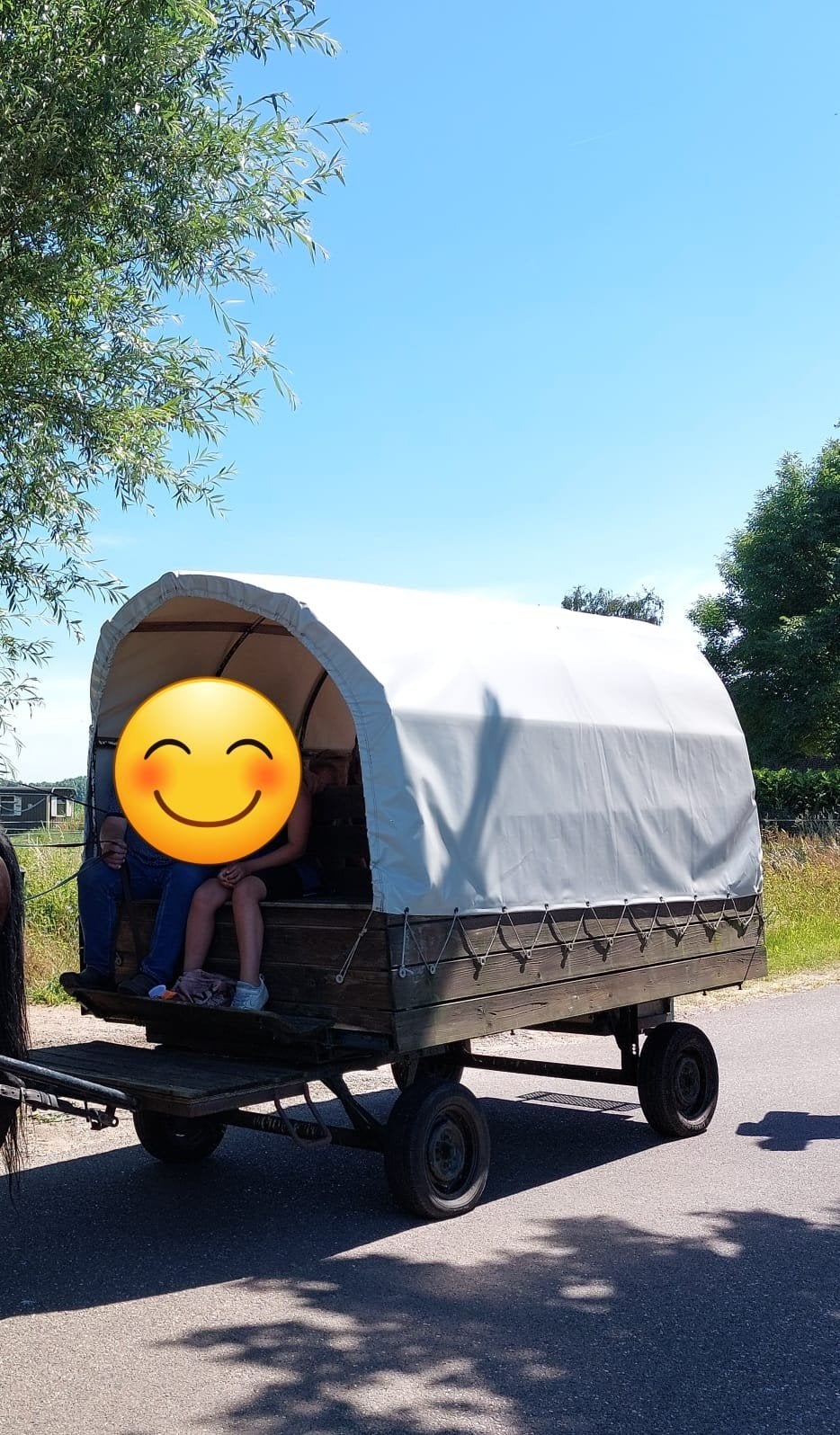 tekoop huifwagen huifkar carnavalswagen koets, Gebruikt, Overige typen, Paard