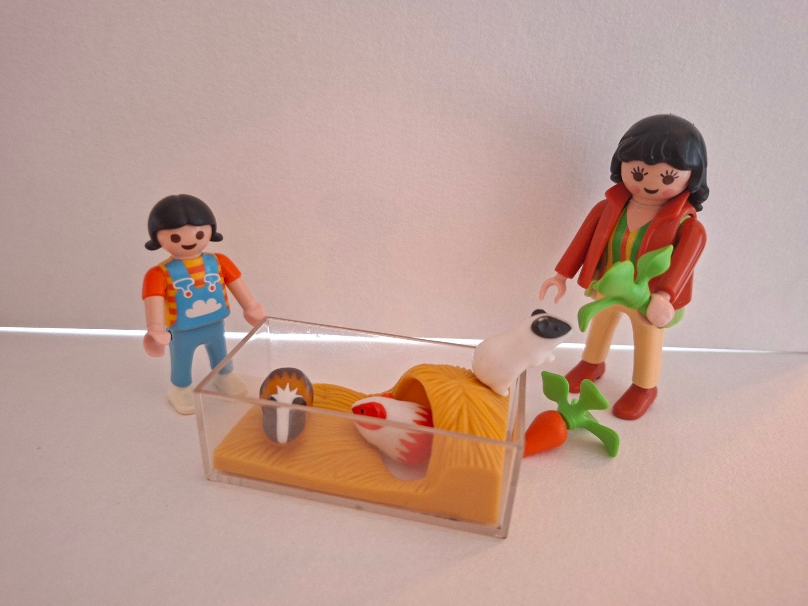 Playmobil 4348: cavia's met terrarium, Ophalen, Gebruikt, Complete set, Country