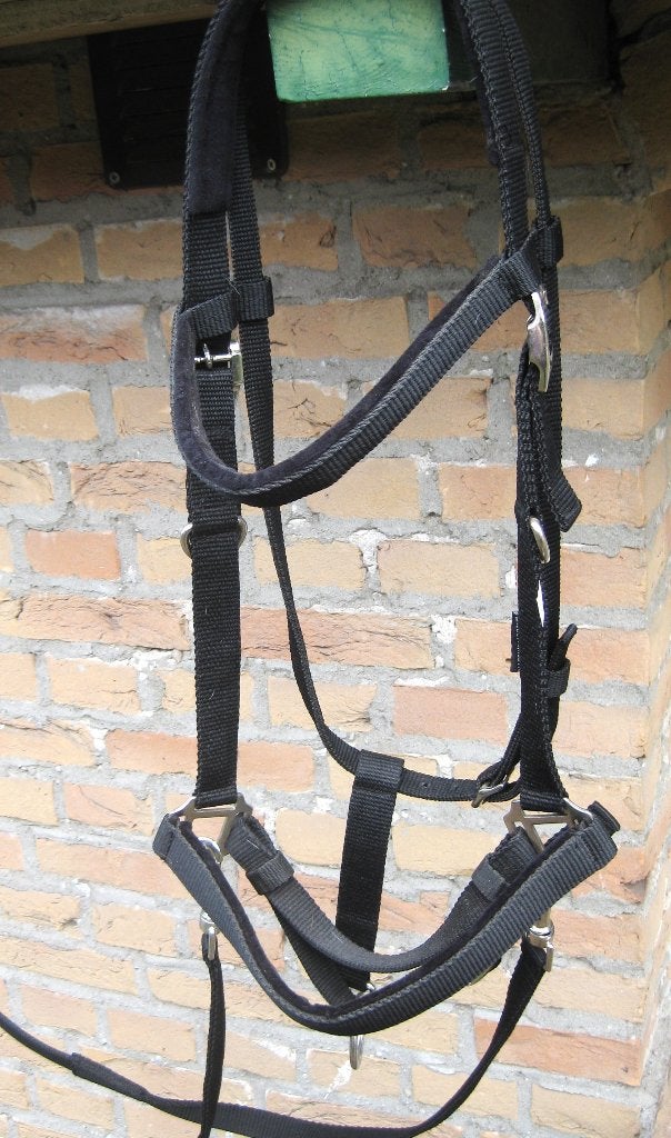 Halster hoofdstel zgan met teugels maat full, Dieren en Toebehoren, Harry's Horse, Ophalen of Verzenden, Halster, Inclusief teugels