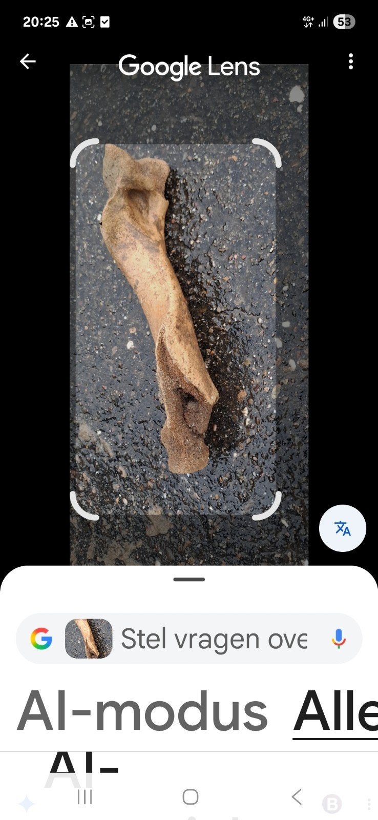 Info gevraagd Groot Bot Been Waal, Ophalen of Verzenden