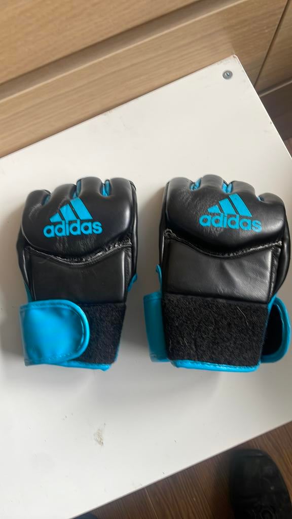 Handschoen, Sport en Fitness, Ophalen, Zo goed als nieuw, Bokshandschoenen