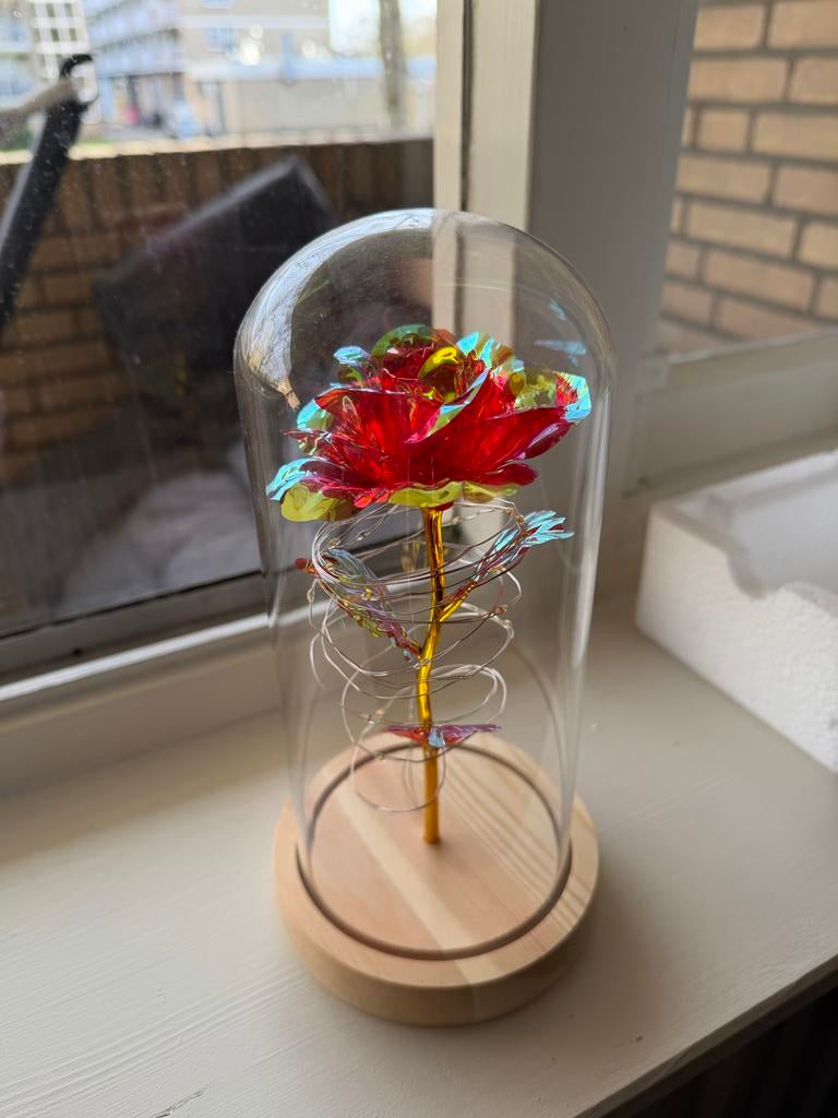 Rose of Love in glazen stolp - Nieuw, Ophalen of Verzenden, Nieuw