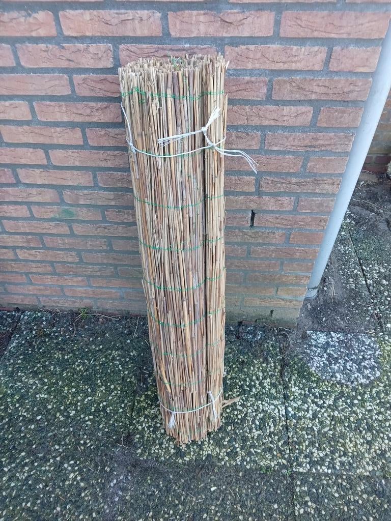 Rieten matten op een rol, Petra, 1 tot 2 meter, Minder dan 3 meter, Nieuw