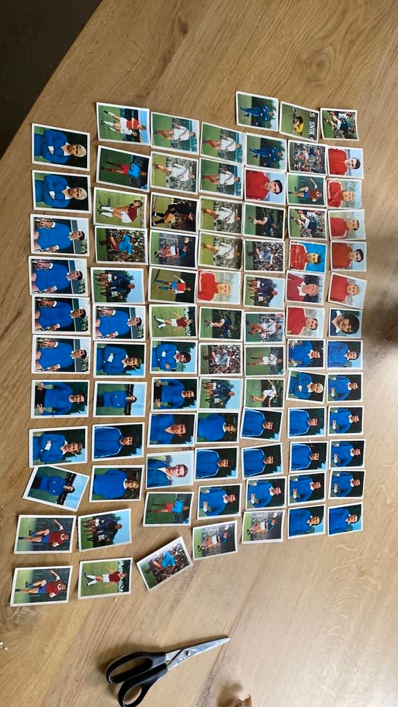 86 x panini vanderhout psv, Ophalen of Verzenden, Zo goed als nieuw, PSV, Poster, Plaatje of Sticker