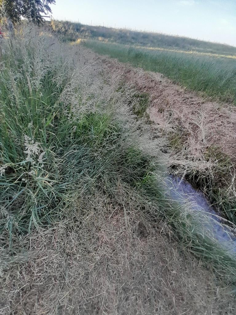 Foto 5 van Tuinman