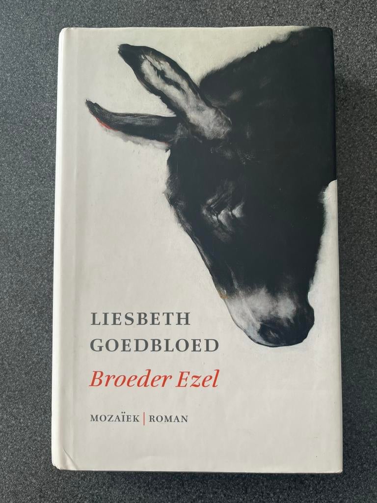 Liesbeth Goedbloed - Broeder ezel, Boeken, Literatuur, Gelezen, Nederland, Ophalen of Verzenden