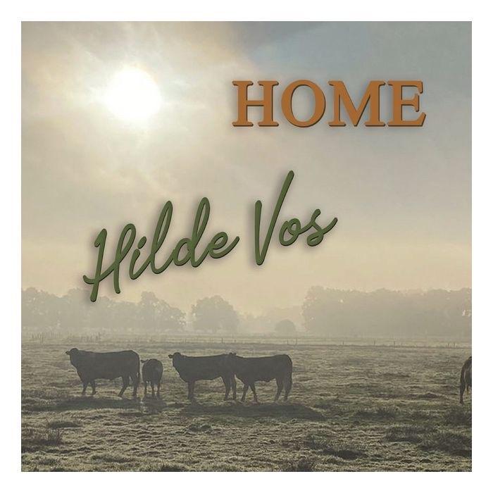 Hilde Vos - Home - CD, Verzenden, Nieuw in verpakking