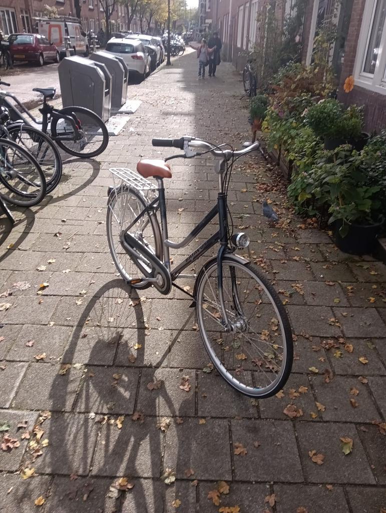 Batavus damesfiets 7 versnellingen & handremmen 53 cm frame, Ophalen, Versnellingen, Batavus, 53 tot 56 cm