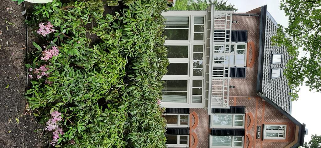 Foto 5 van Balkon,hekwerk,baluster,vide,veranda,hout,balustrade,leuning