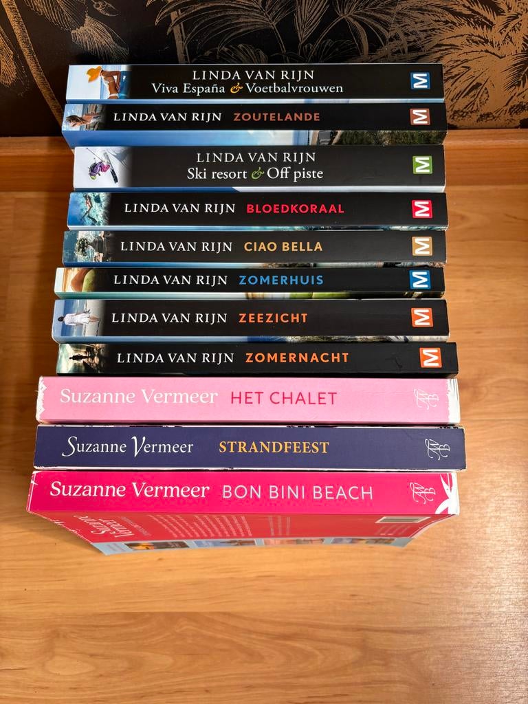 Suzanne Vermeer - Het chalet, Boeken, Romans, Zo goed als nieuw, Nederland, Ophalen of Verzenden