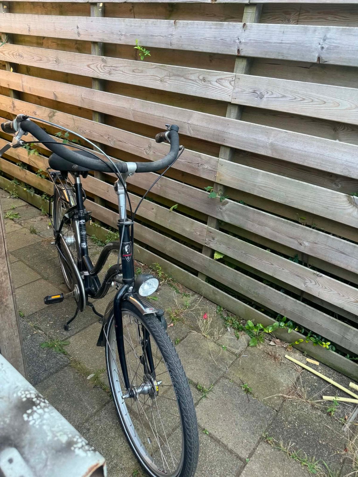 Sparta Moederfiets, Fietsen en Brommers, Ophalen, Sparta, Versnellingen, 0 zitjes