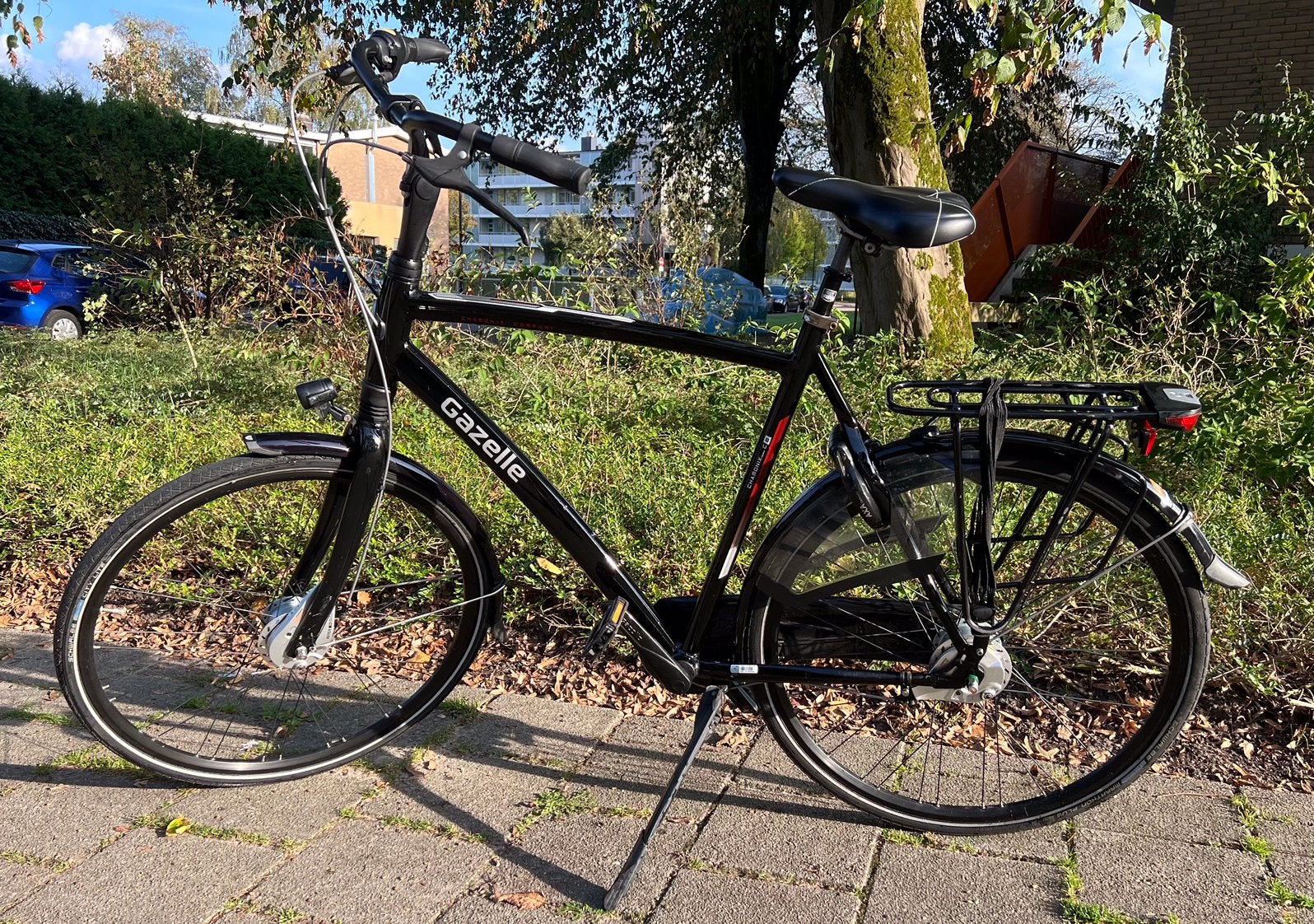 Foto 3 van Gazelle Chamonix C8 heren 61cm