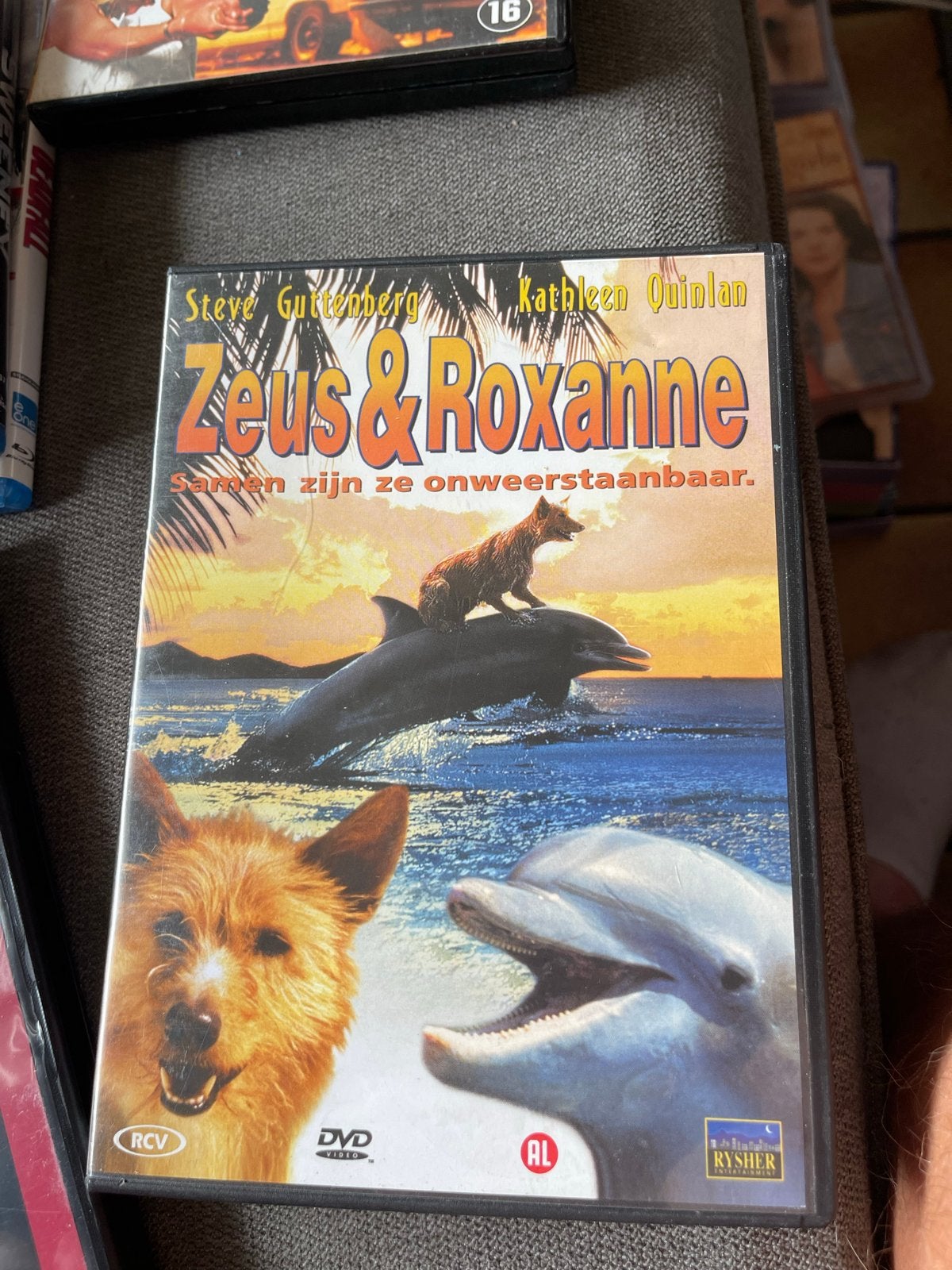 Zeus & Roxanne DVD - Familieavontuur met hond en dolfijn, Gebruikt, Alle leeftijden, Nederlands, Familie