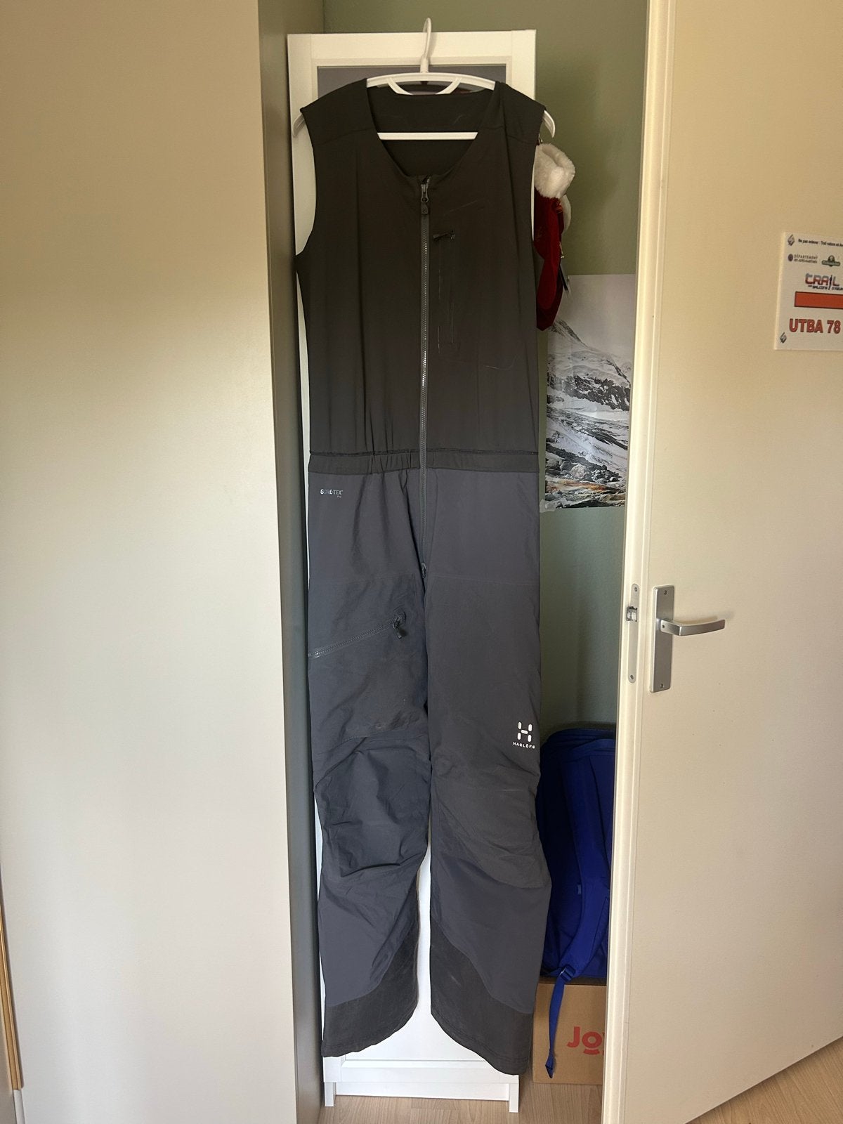Hagloefs Gore-Tex Pro Skibroek/Salopette - Maat L, Ophalen of Verzenden, Zo goed als nieuw, Broek