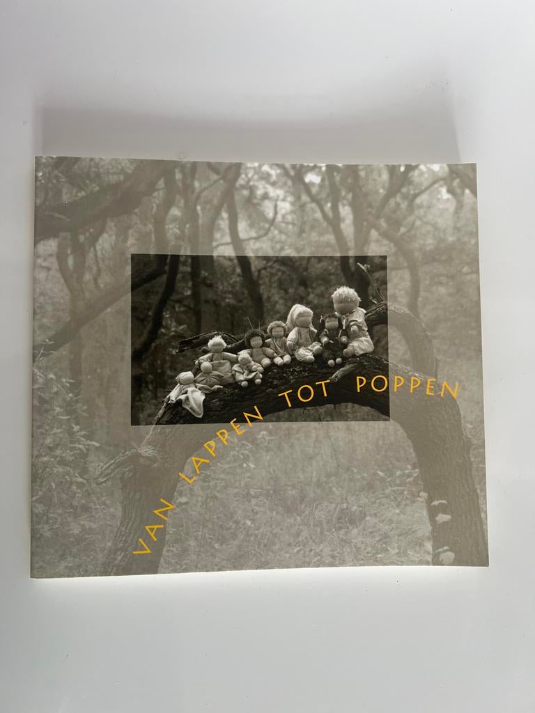 Van Lappen tot Poppen - Knutselboek voor poppen maken, Gebruikt, Overige thema's, Meerkleurig, Ophalen of Verzenden