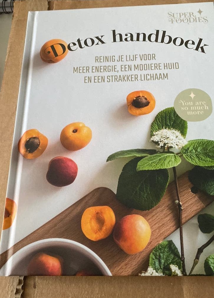 Jesse van der velde  - Detox Handboek, Ophalen, Nieuw, Patricia Lautenschutz; Jesse van der Velde