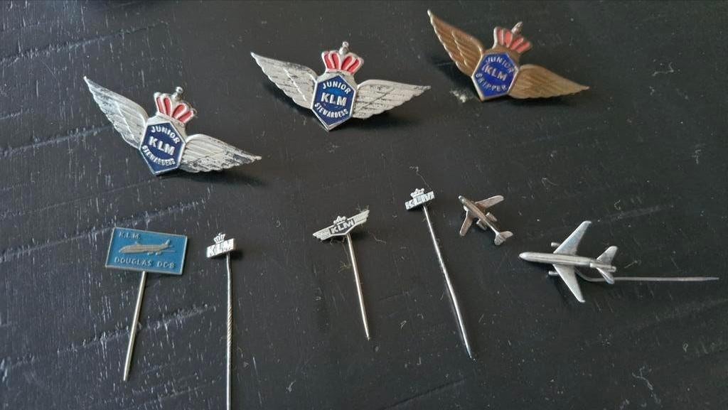Vintage KLM speldjes & RVD naambordje - Zilver/verzilverd, Ophalen of Verzenden, Gebruikt, Transport, Speldje of Pin