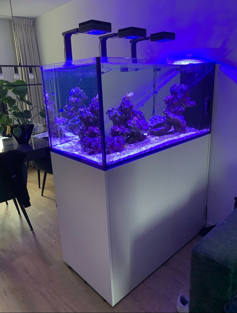 Red Sea aquarium leeg met toebehoren, Ophalen, Red Sea, Inclusief slangen, Zo goed als nieuw