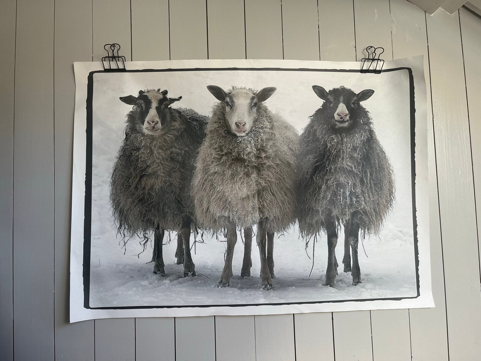Canvas met schapen - Mo-Ca Home, Huis en Inrichting, 50 – 75, Oorspronkelijke maker, Ophalen of Verzenden, 50 tot 75 cm