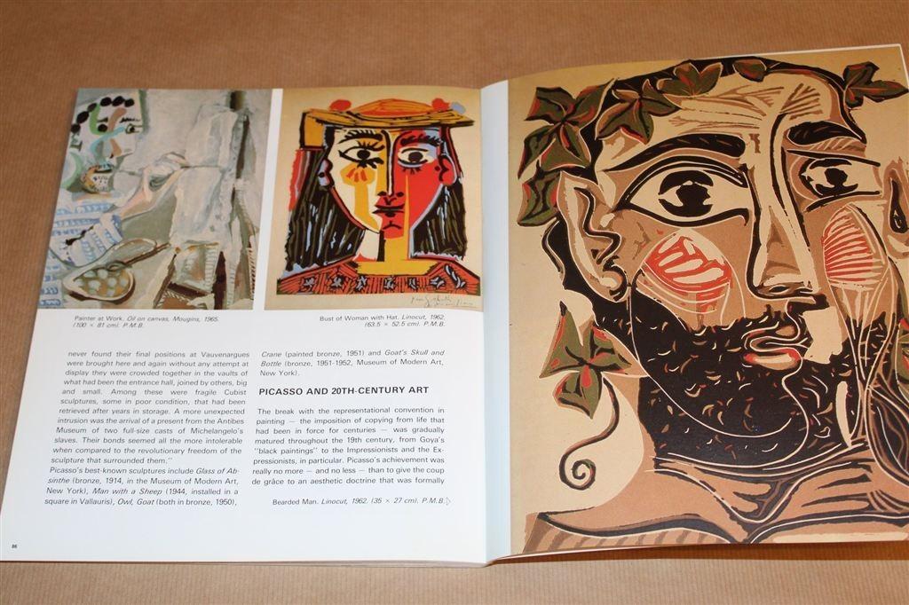 Picasso Museum Barcelona — Leven en Werk in Beeld, Ophalen of Verzenden, Gelezen