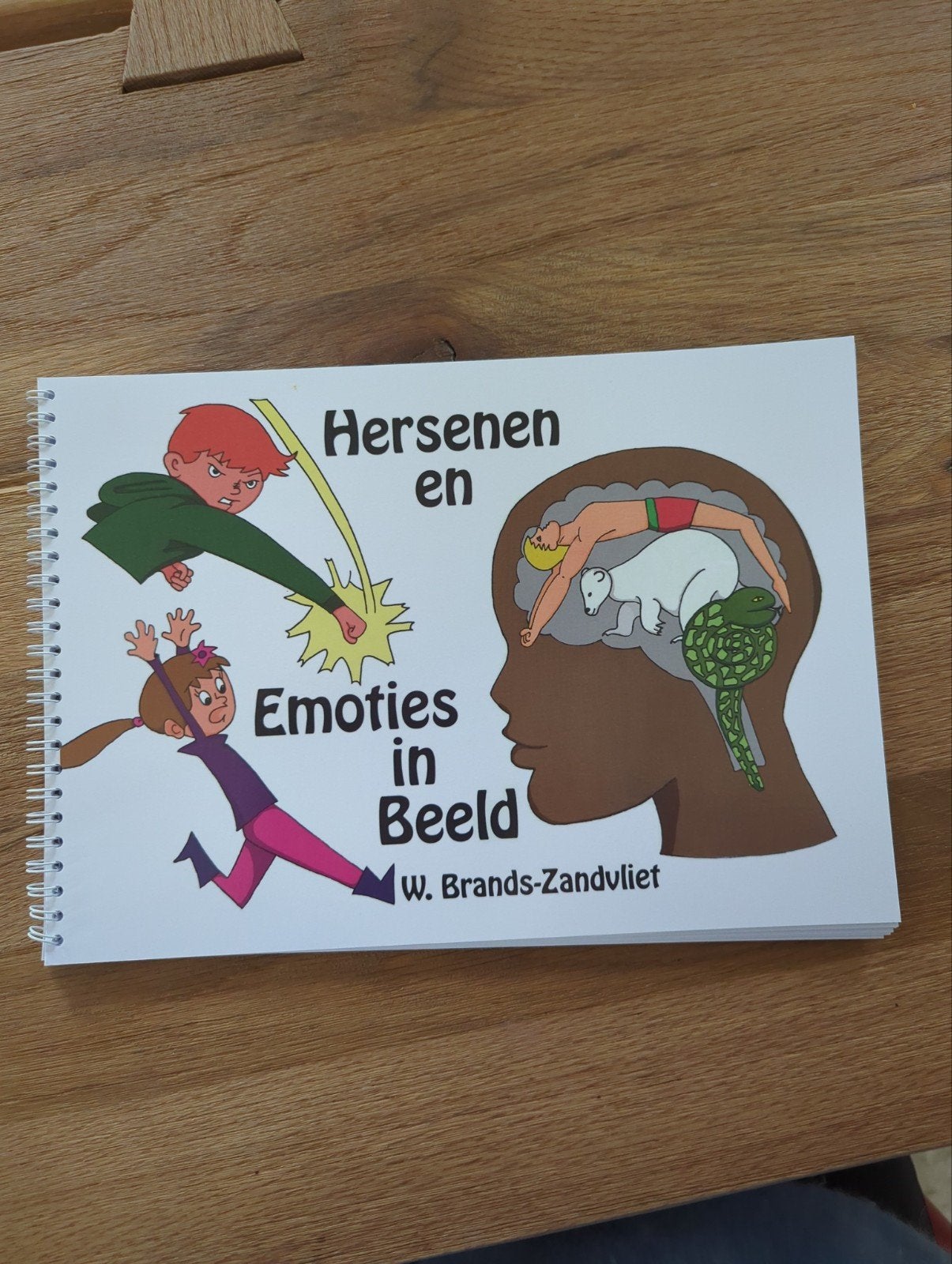Hersenen en Emoties in Beeld - W. Brands-Zandvliet, Ophalen of Verzenden, Nieuw