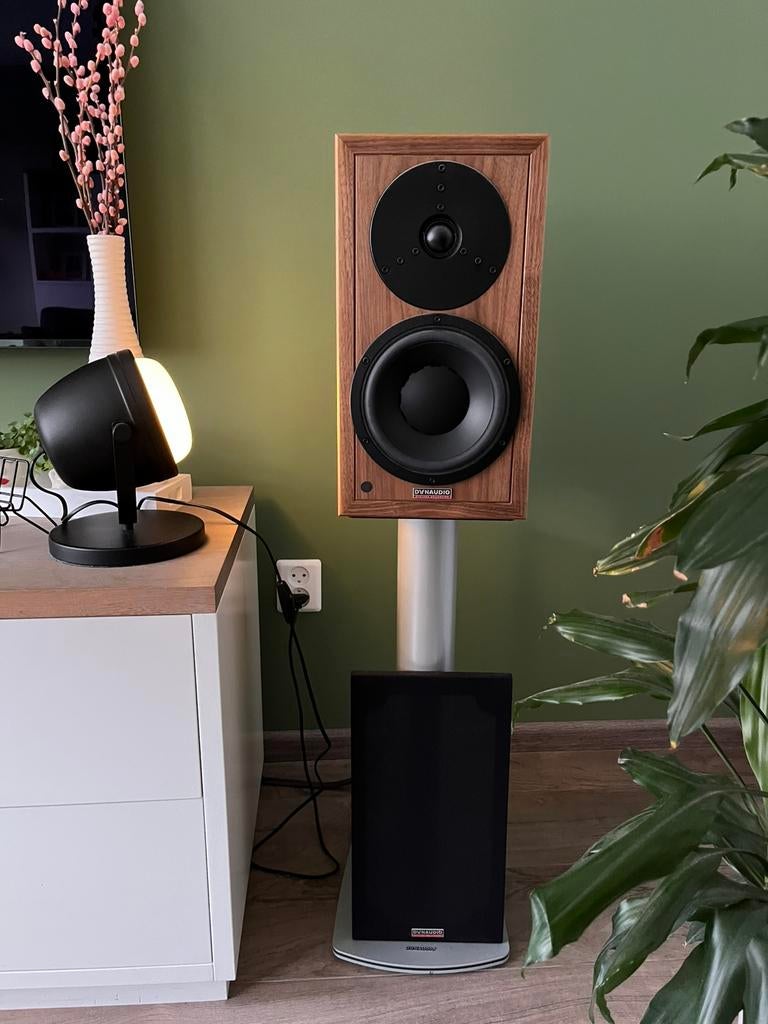 Dynaudio Heritage Special, Zo goed als nieuw, 120 watt of meer, Front, Rear of Stereo speakers, Ophalen