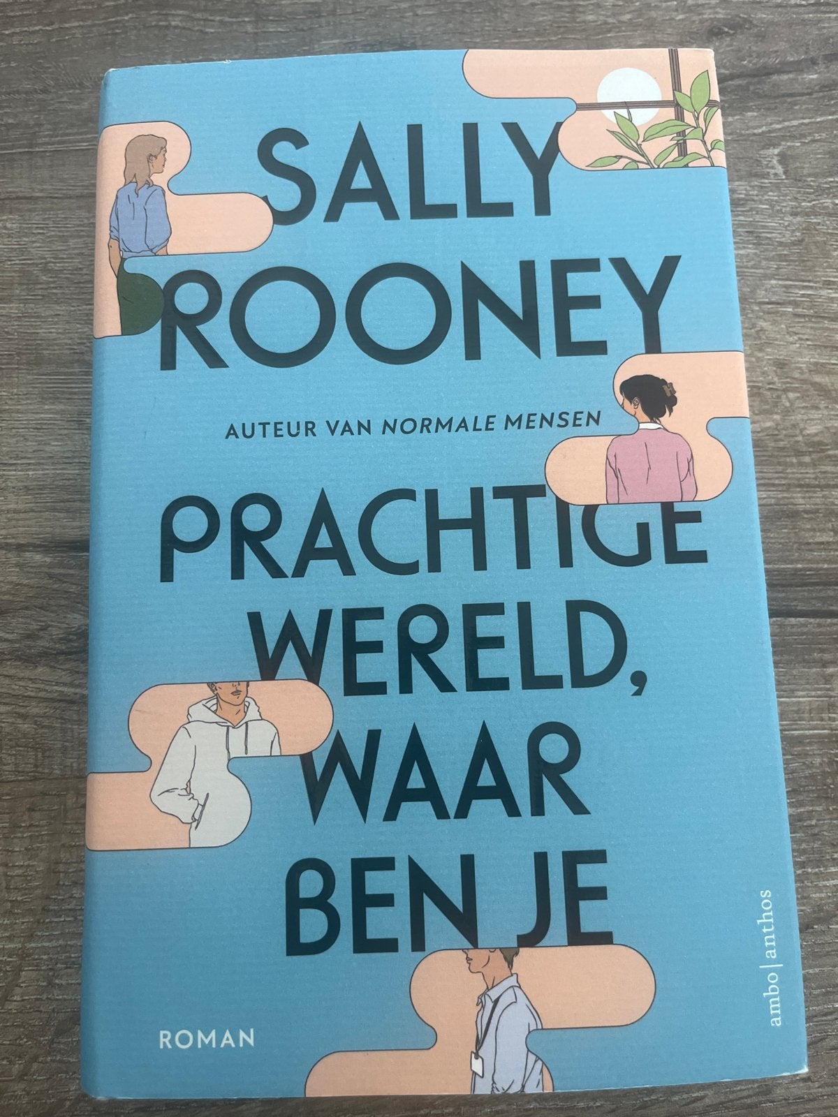 Prachtige Wereld, Waar Ben Je - Sally Rooney Roman, Boeken, Ophalen of Verzenden, Zo goed als nieuw, Nederland