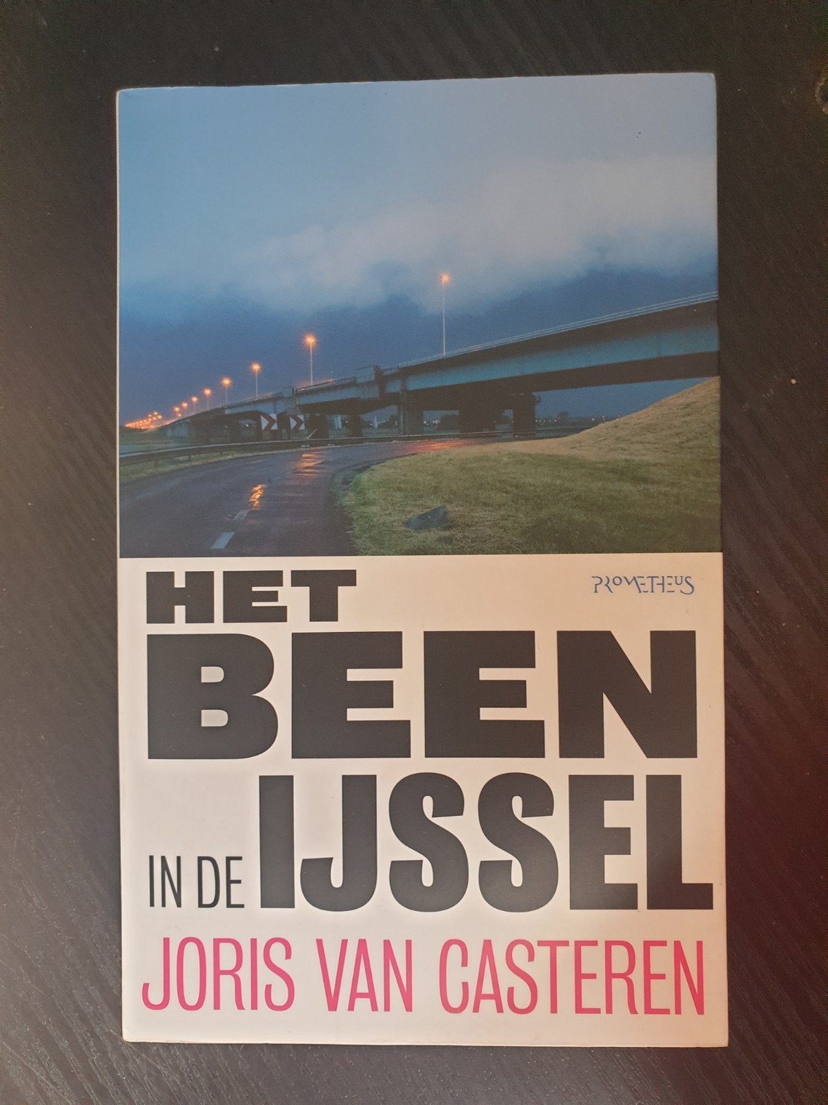 Het Been in de IJssel - Joris van Casteren, Ophalen of Verzenden, Gelezen, Joris van Casteren