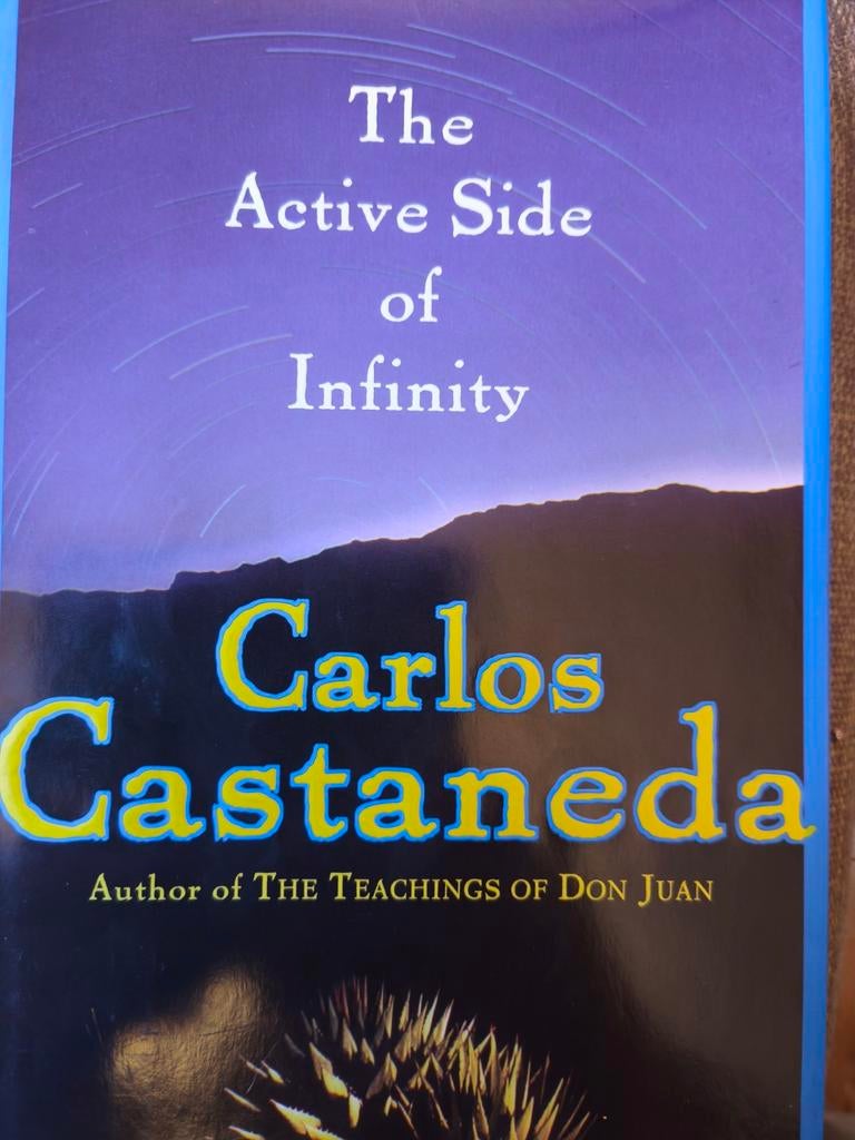 The Active Side of Infinity - Carlos Castaneda, Gelezen, Achtergrond en Informatie, Spiritualiteit algemeen, Ophalen of Verzenden