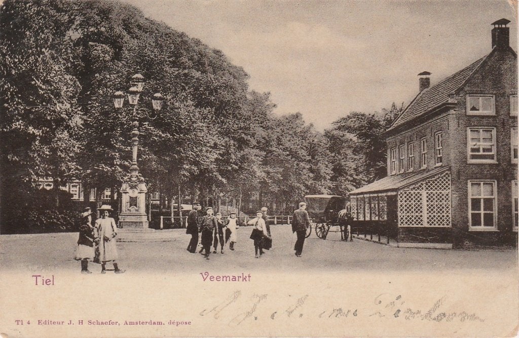 Tiel Veemarkt, Ophalen of Verzenden, Voor 1920, Gelopen, Gelderland