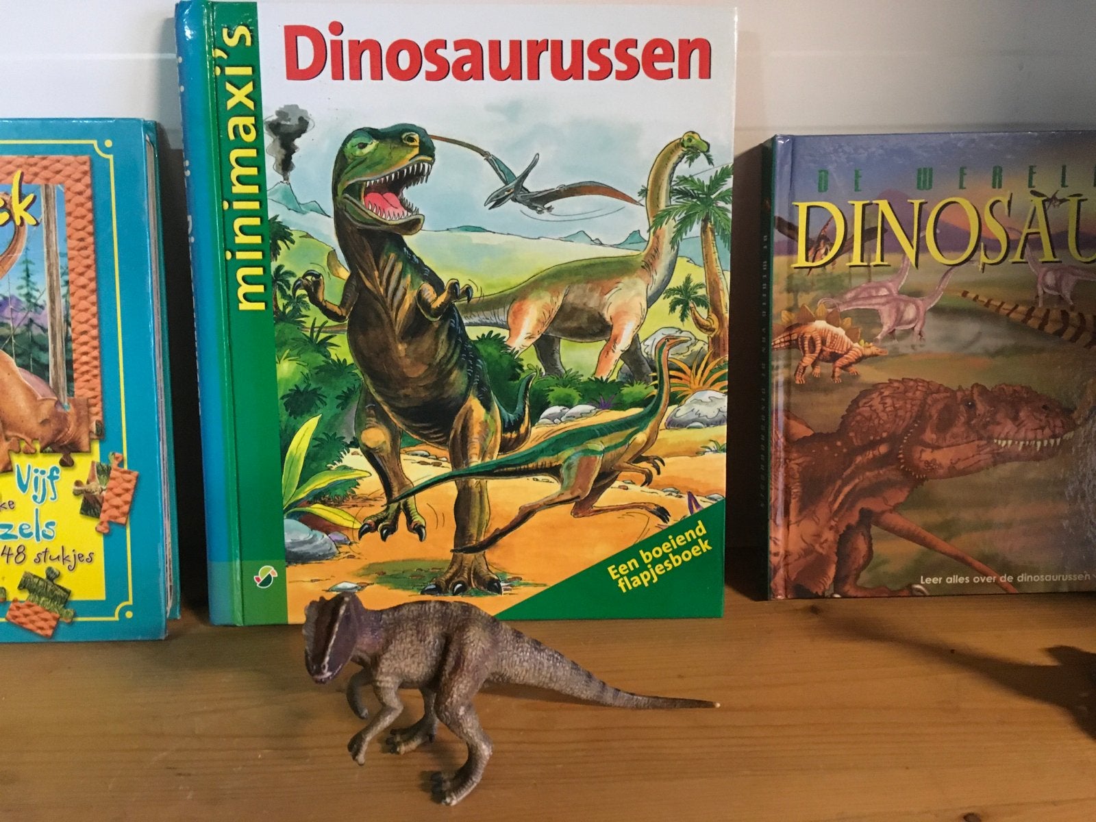 Dino Boeken & Puzzels met 3 Dinosaurus Speelgoedfiguren, Ophalen of Verzenden, Gelezen, Non-fictie