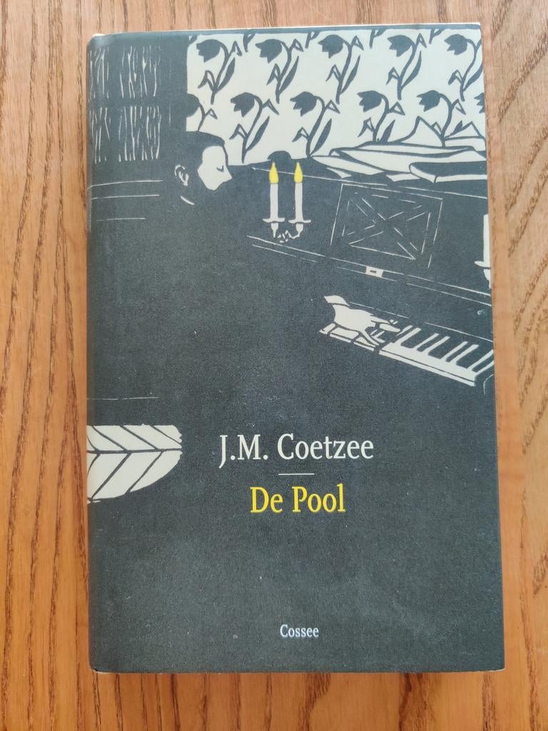 J.M. Coetzee - De Pool, Boeken, Literatuur, Zo goed als nieuw, Ophalen of Verzenden