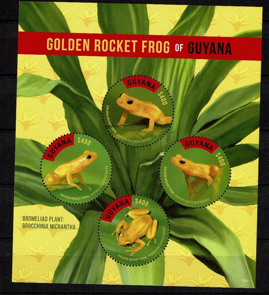 guyana 2016 pf blok kikkers frogs amfibieën reptielen 1, Ophalen of Verzenden, Postfris, Dier of Natuur