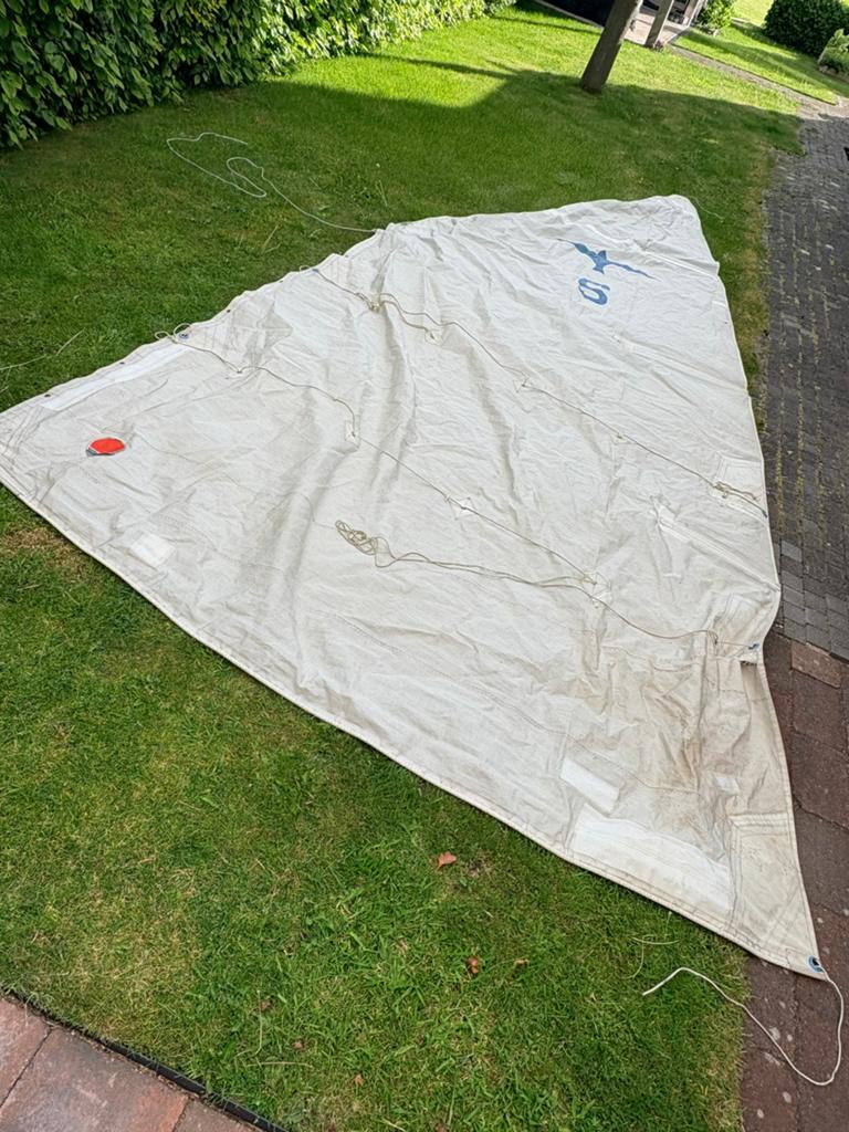 Officieel zeil voor Polyvalk met wat werk, Watersport en Boten, Ophalen, 6 meter of meer, Gebruikt, Minder dan 15 m²