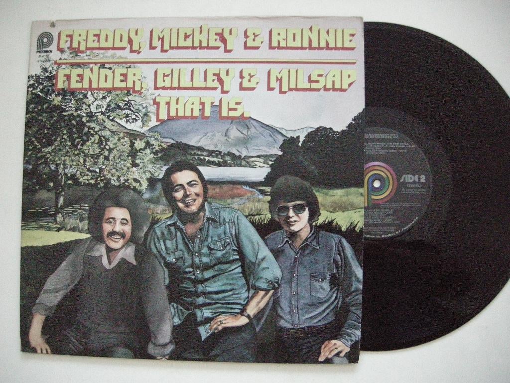 Freddy Mickey & Ronnie That Is - LP vinyl zgan / USA, Cd's en Dvd's, Vinyl | Pop, Ophalen, 1970 - 1979, Zo goed als nieuw, 12 inch