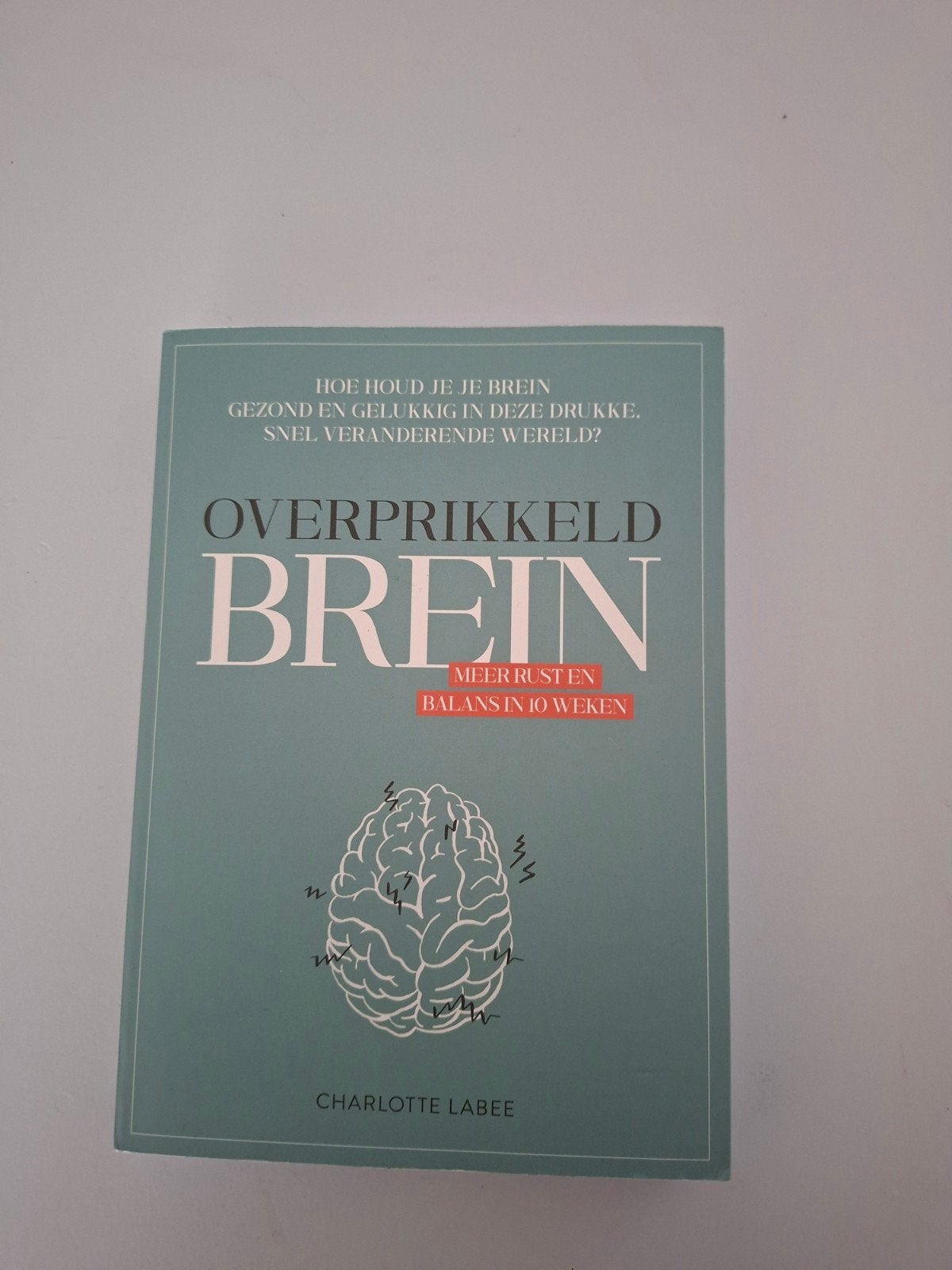 Overprikkeld brein. Meer rust en balans in 10 weken., Boeken, Ophalen of Verzenden, Gelezen, Charlotte Labee