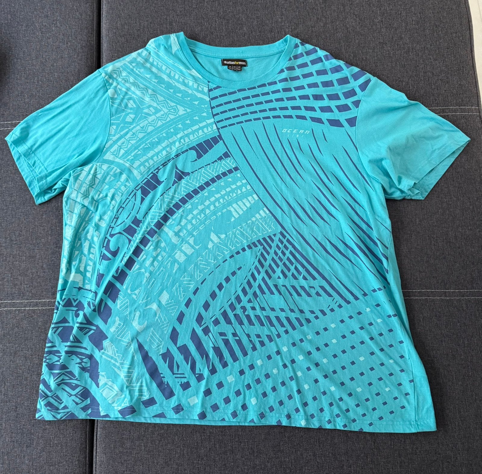 Heren t-shirt 4xl xxxxl blauw met print, Kleding | Heren, Ophalen of Verzenden, Gedragen, Overige maten, Blauw