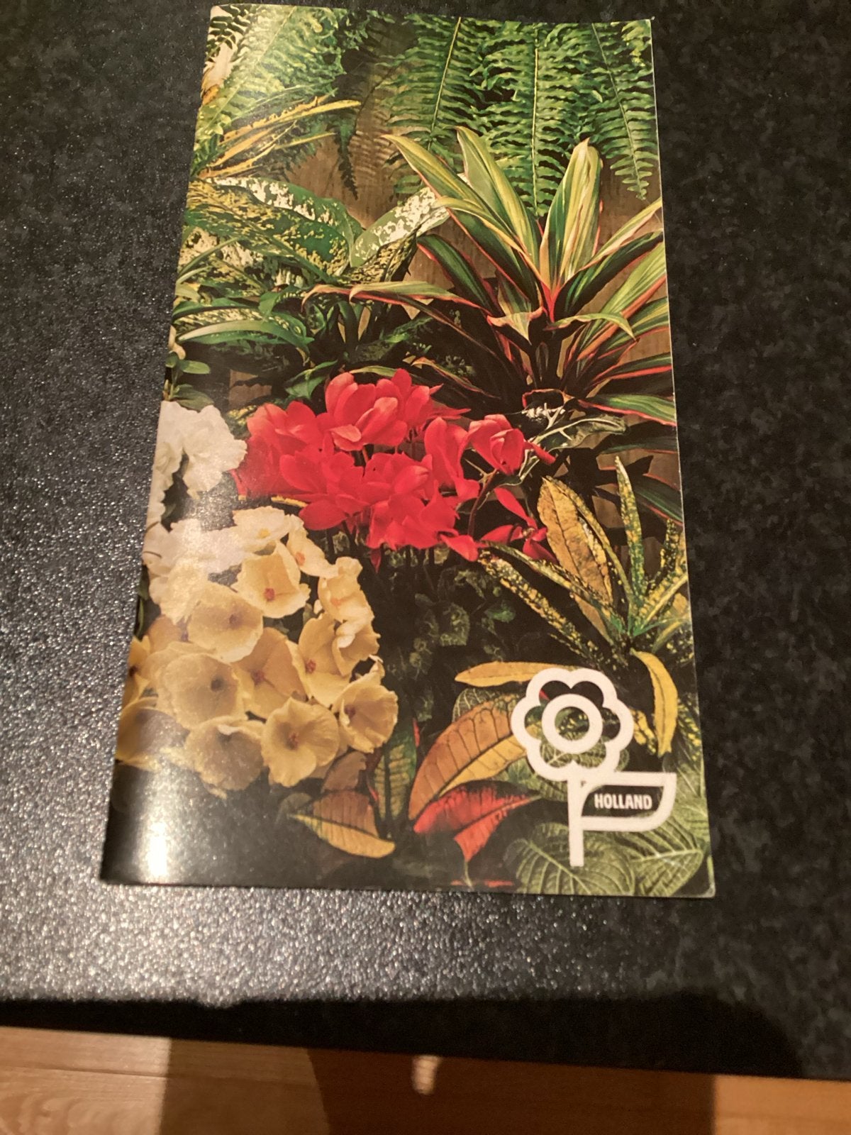 Plantenwijzer Bloemenbureau Holland - Verzorgingstips, Ophalen of Verzenden, Overige soorten, Halfschaduw, Minder dan 100 cm