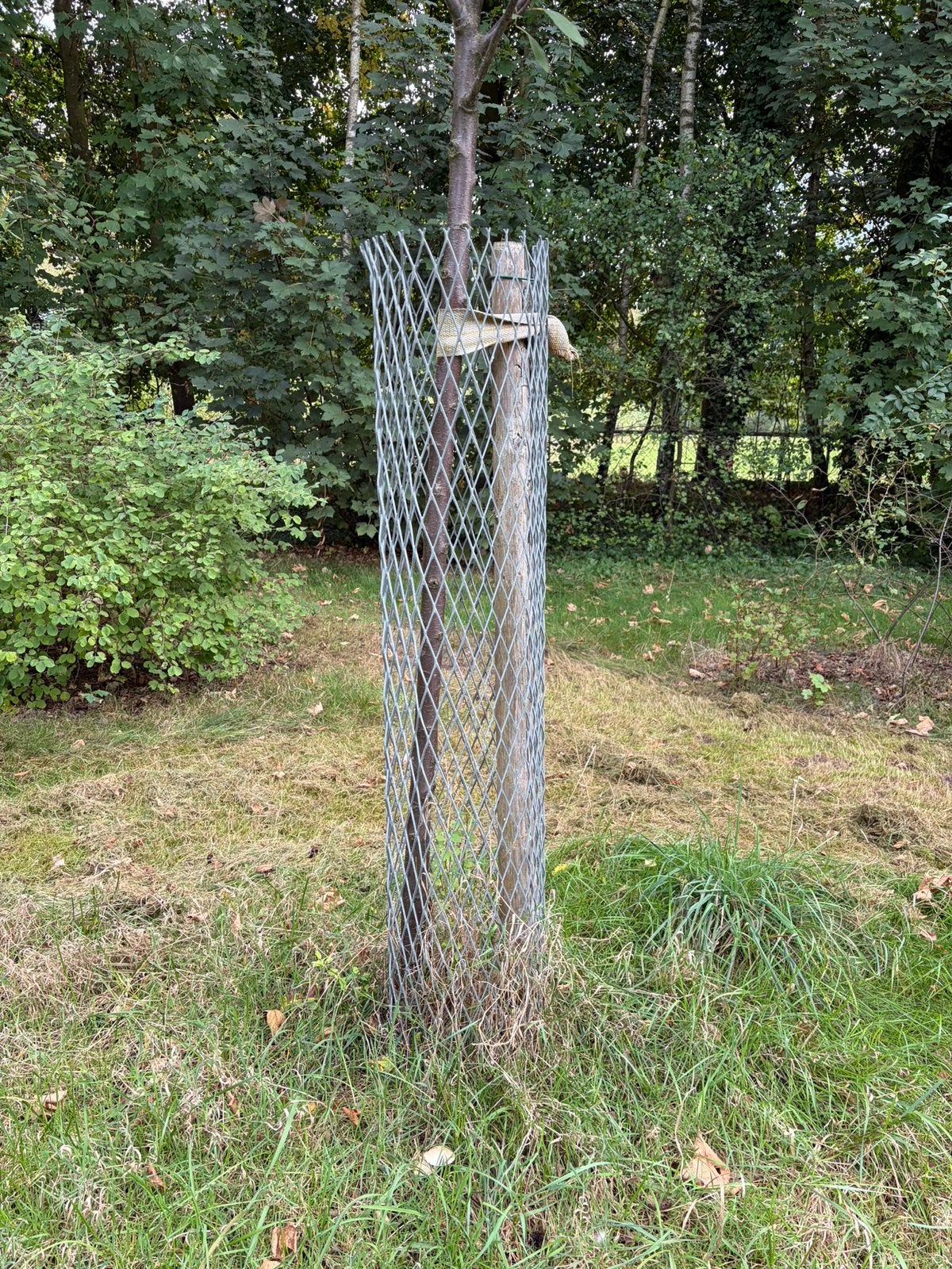 Boomkorven boomkorf 12x, Ophalen, Zo goed als nieuw, Minder dan 10 meter, Overige typen