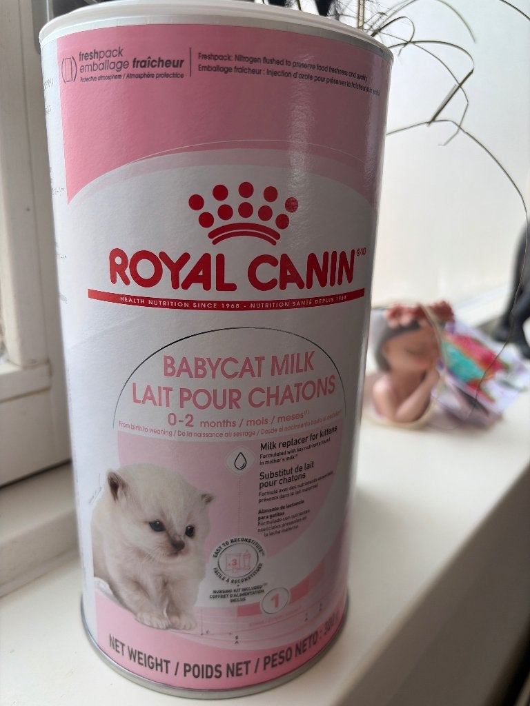 Royal canin babycat Mill, Ophalen, Kat