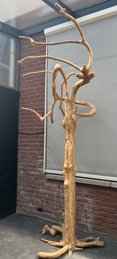 Oude koffie boom, Ophalen, Hout, Beige, Mediterraans