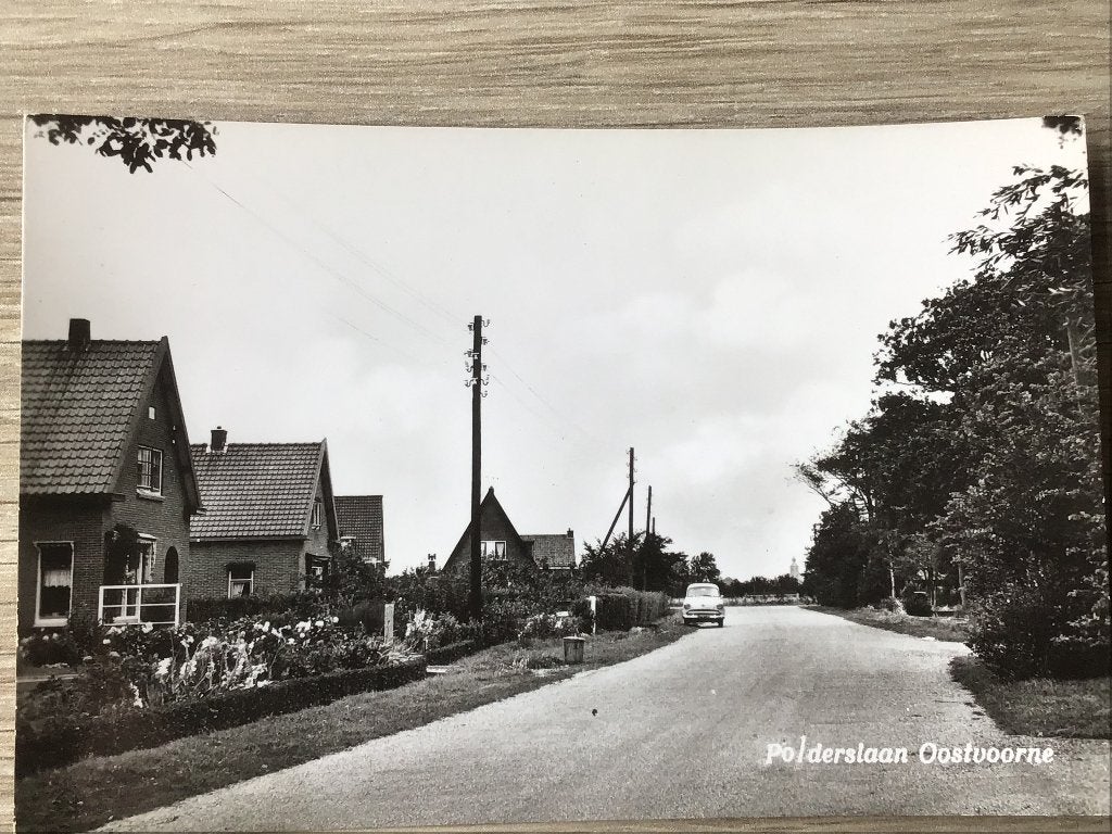Oostvoorne Polderslaan - Zwart-wit ansichtkaart 1961, Ophalen of Verzenden, 1960 tot 1980, Gelopen, Zuid-Holland