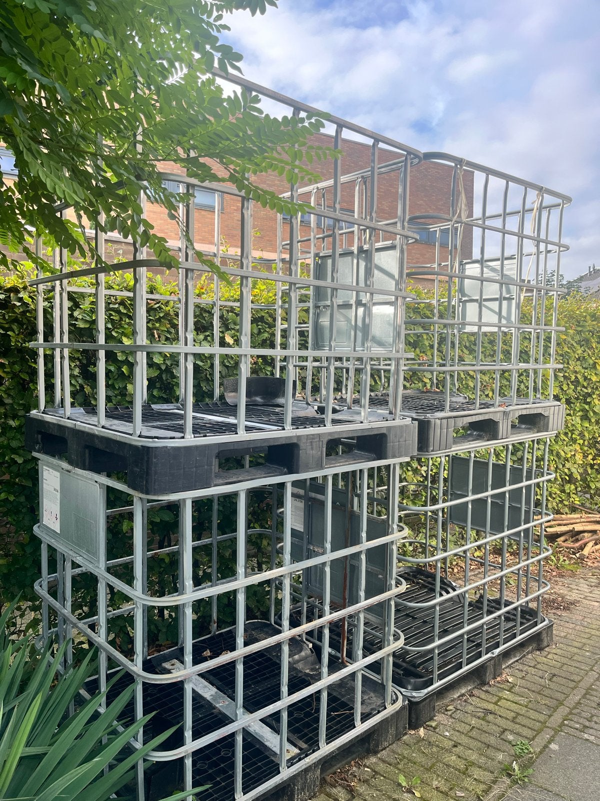 IBC containers (4 stuks), Ophalen